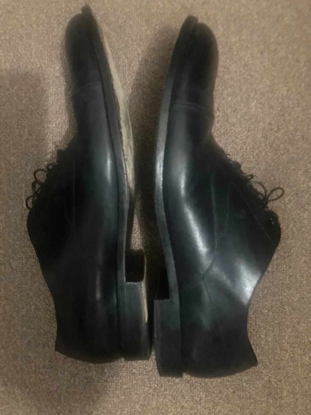 Tods Italian  Dress Shoes